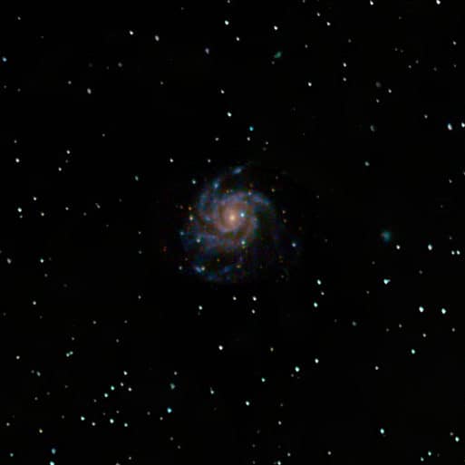 Photo: Douglas Lentz, Stroud Preserve. Alt text: Bright stars and a pinwheel galaxy show in a dark night sky.